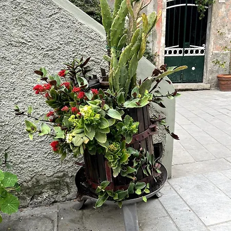Le Cinque Vele Cinque Terre Luxury House * Monterosso al Mare